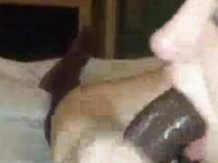 Sucking off bbc