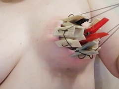 Clothespins tit